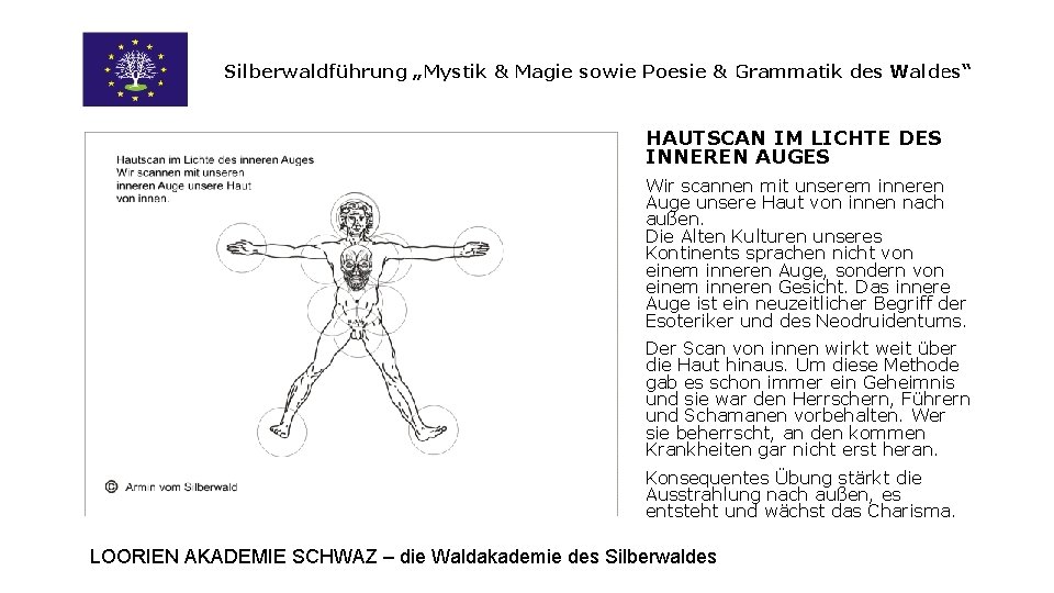 Silberwaldführung „Mystik & Magie sowie Poesie & Grammatik des Waldes“ HAUTSCAN IM LICHTE DES