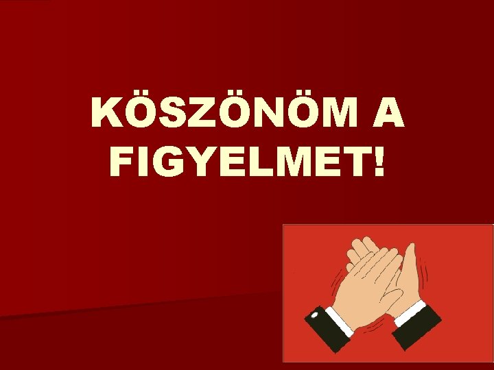 KÖSZÖNÖM A FIGYELMET! 