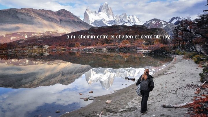 a-mi-chemin-entre-el-chalten-et-cerro-fitz-roy 