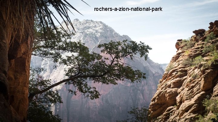 rochers-a-zion-national-park 