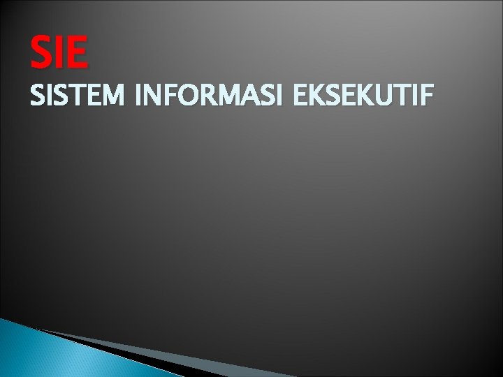 SIE SISTEM INFORMASI EKSEKUTIF 