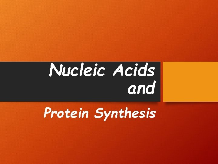 Nucleic Acids and Protein Synthesis 
