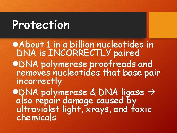 Protection l. About 1 in a billion nucleotides in DNA is INCORRECTLY paired. l.