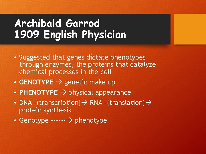 Archibald Garrod 1909 English Physician • Suggested that genes dictate phenotypes through enzymes, the