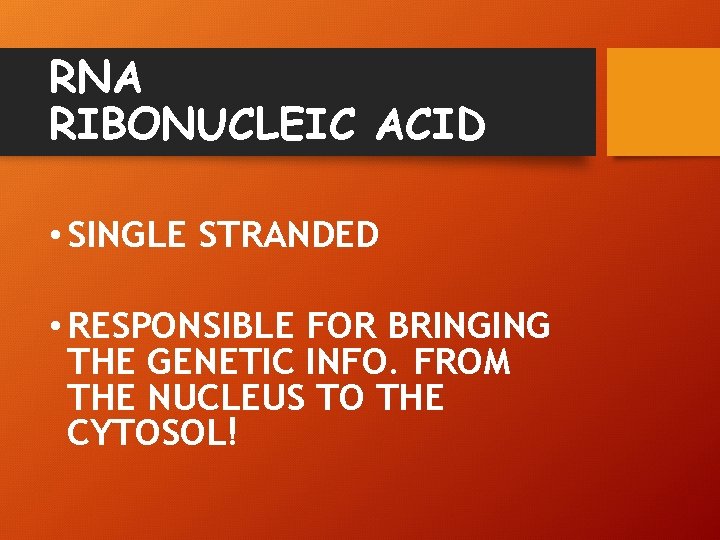 RNA RIBONUCLEIC ACID • SINGLE STRANDED • RESPONSIBLE FOR BRINGING THE GENETIC INFO. FROM