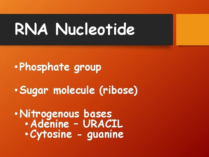 RNA Nucleotide • Phosphate group • Sugar molecule (ribose) • Nitrogenous bases • Adenine