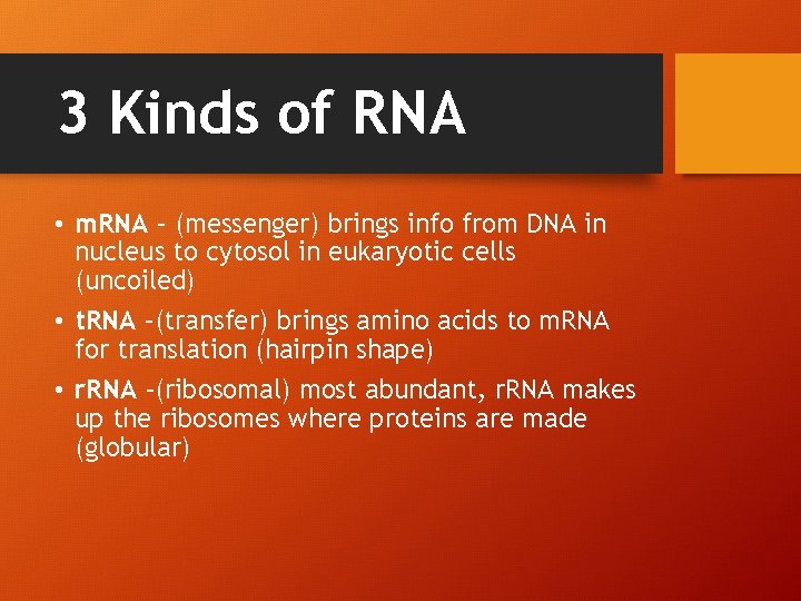 3 Kinds of RNA • m. RNA – (messenger) brings info from DNA in
