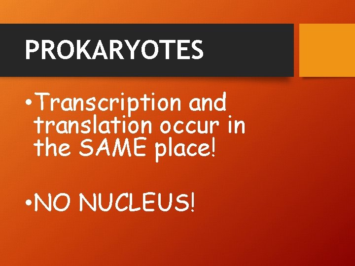 PROKARYOTES • Transcription and translation occur in the SAME place! • NO NUCLEUS! 