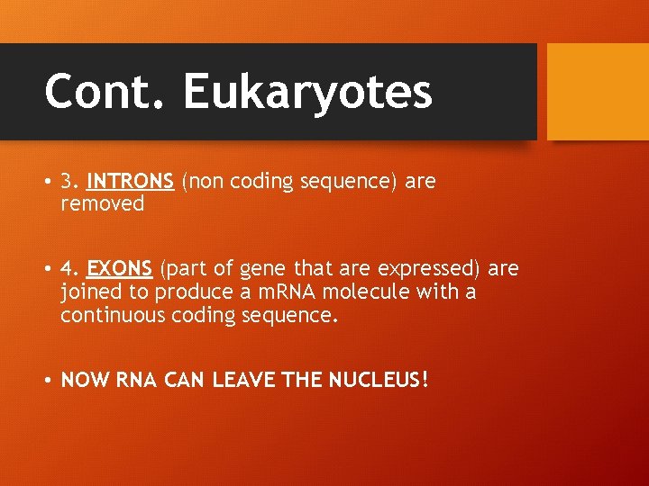 Cont. Eukaryotes • 3. INTRONS (non coding sequence) are removed • 4. EXONS (part