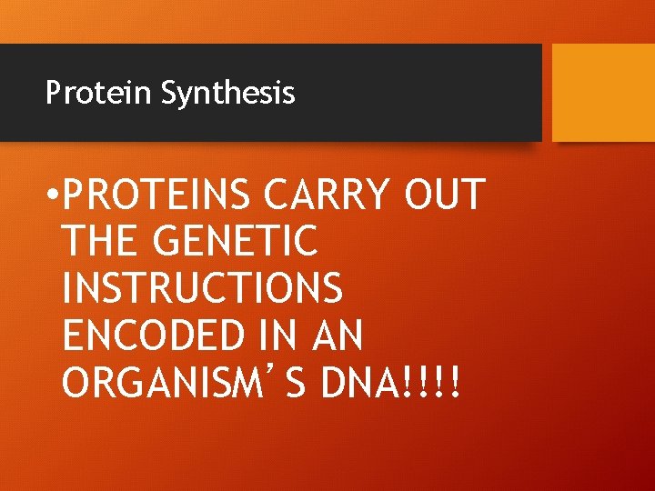 Protein Synthesis • PROTEINS CARRY OUT THE GENETIC INSTRUCTIONS ENCODED IN AN ORGANISM’S DNA!!!!