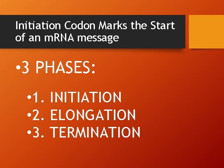 Initiation Codon Marks the Start of an m. RNA message • 3 PHASES: •