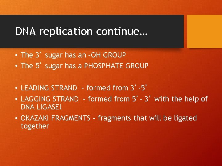 DNA replication continue… • The 3’ sugar has an –OH GROUP • The 5’