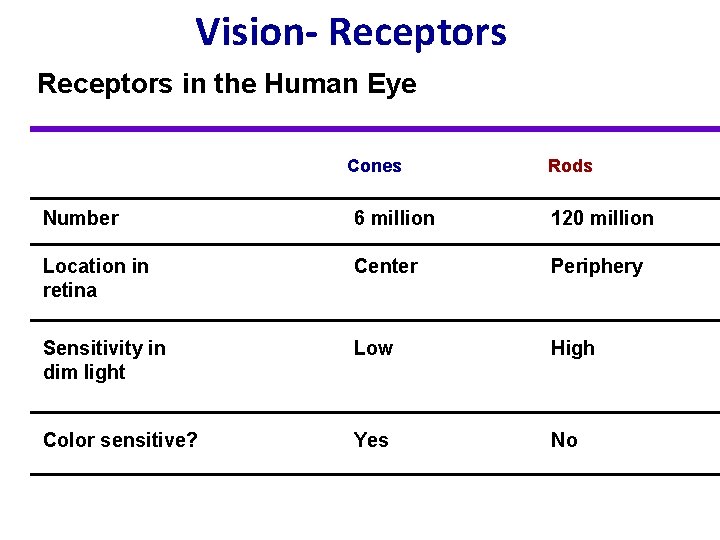 Vision- Receptors in the Human Eye Cones Rods Number 6 million 120 million Location