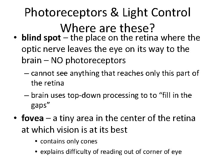 Photoreceptors & Light Control Where are these? • blind spot – the place on