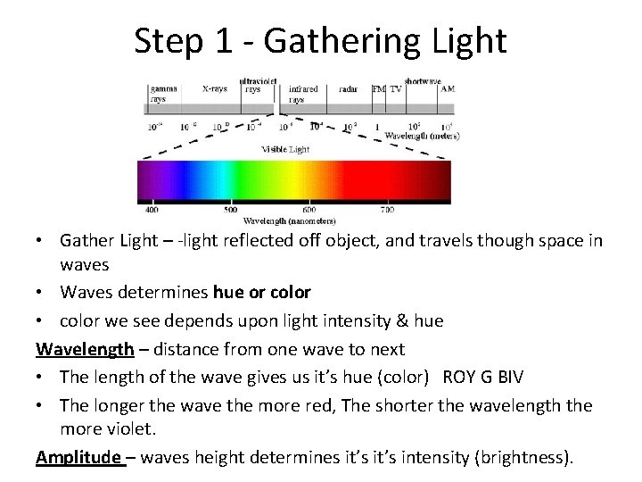 Step 1 - Gathering Light • Gather Light – -light reflected off object, and