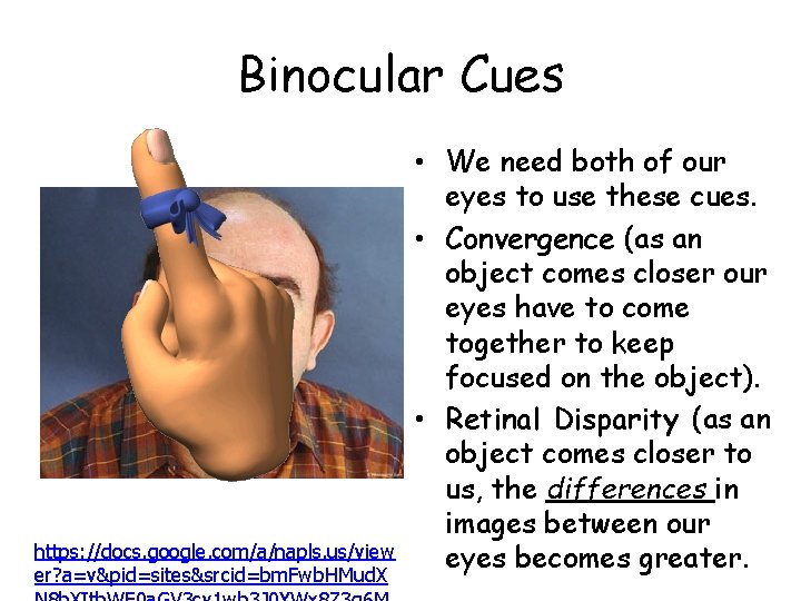 Binocular Cues https: //docs. google. com/a/napls. us/view er? a=v&pid=sites&srcid=bm. Fwb. HMud. X • We