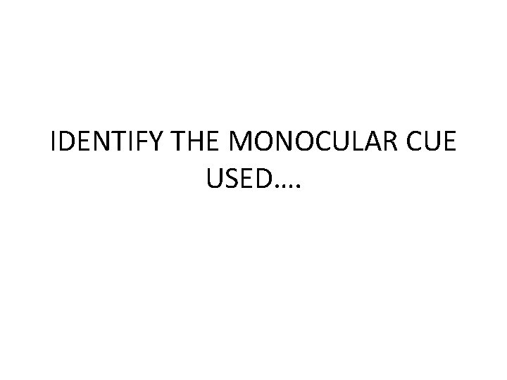 IDENTIFY THE MONOCULAR CUE USED…. 
