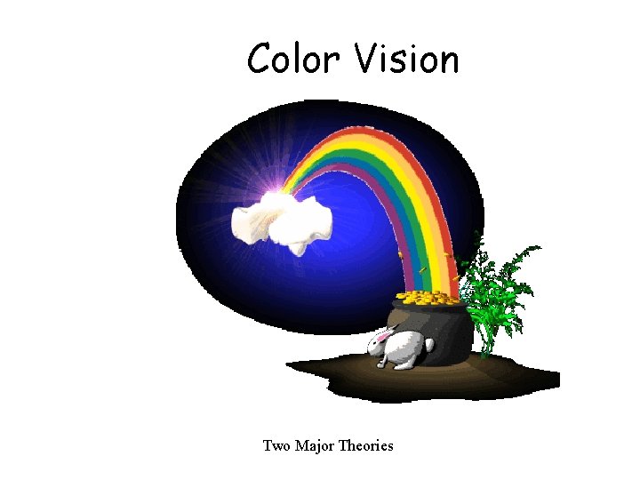 Color Vision Two Major Theories 