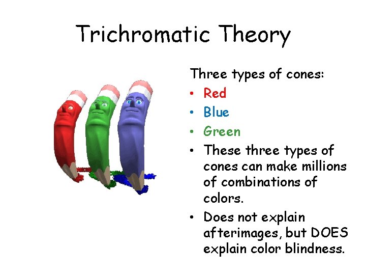 Trichromatic Theory Three types of cones: • Red • Blue • Green • These
