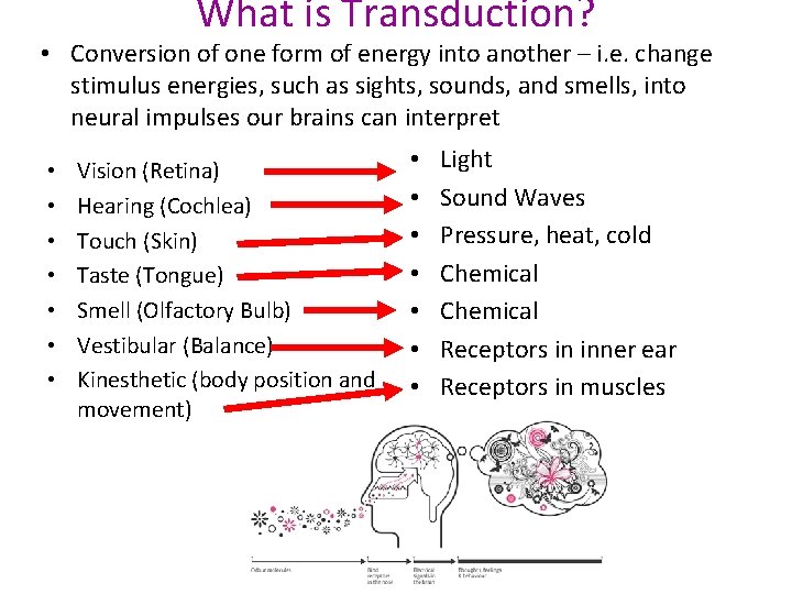 What is Transduction? • Conversion of one form of energy into another – i.