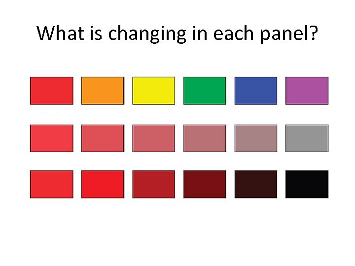 What is changing in each panel? 