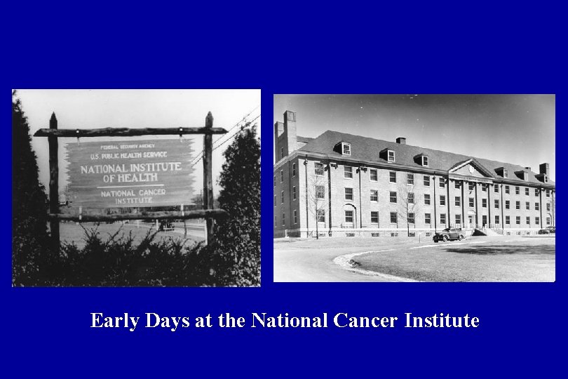Early Days at the National Cancer Institute 
