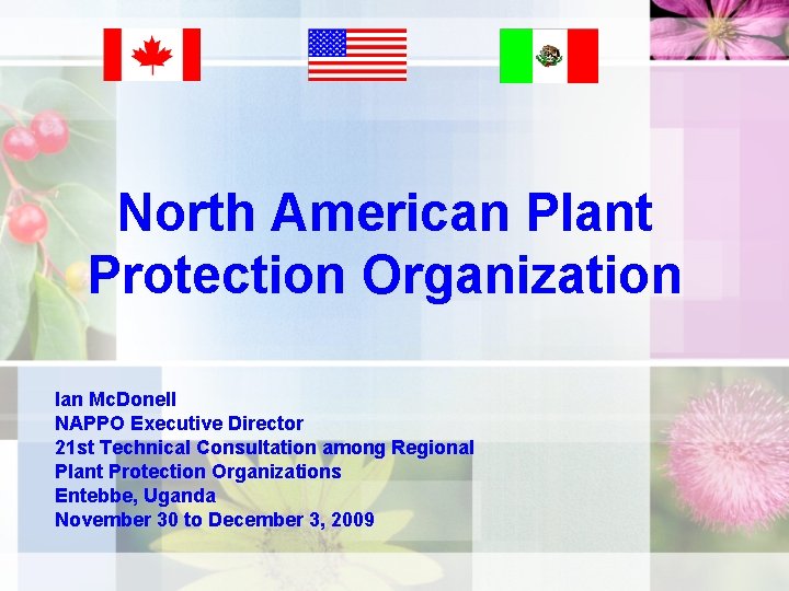 North American Plant Protection Organization Ian Mc. Donell NAPPO Executive Director 21 st Technical