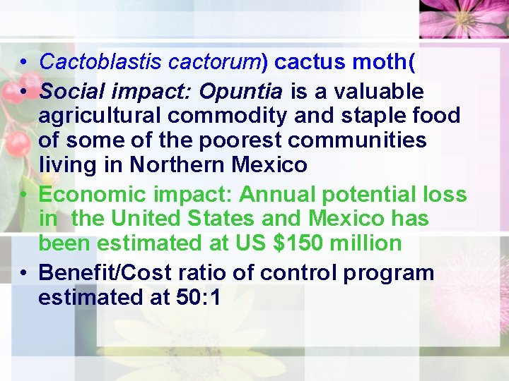  • Cactoblastis cactorum) cactus moth( • Social impact: Opuntia is a valuable agricultural