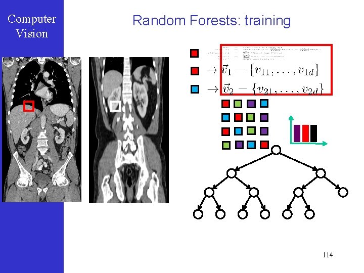 Computer Vision Random Forests: training 114 