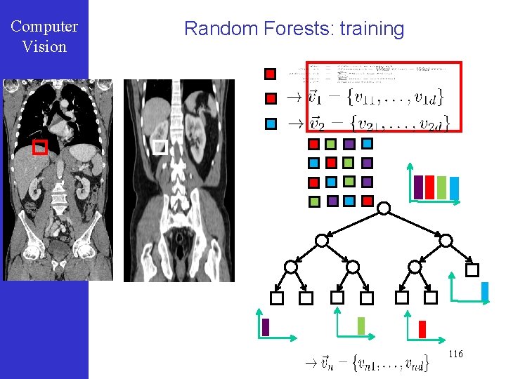 Computer Vision Random Forests: training 116 