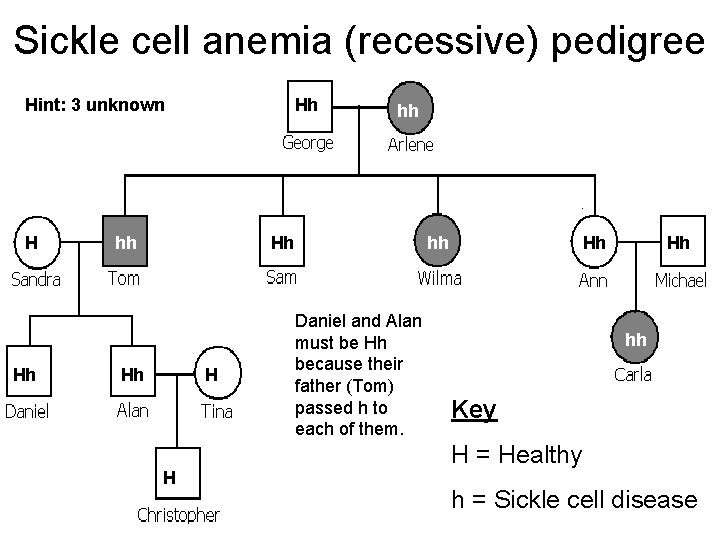Sickle cell anemia (recessive) pedigree Hint: 3 unknown H Hh Hh hh hh Hh