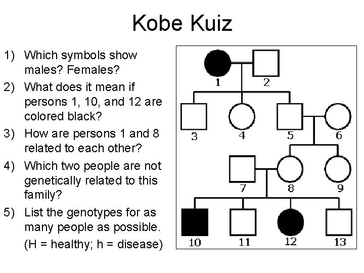 Kobe Kuiz 1) Which symbols show males? Females? 2) What does it mean if