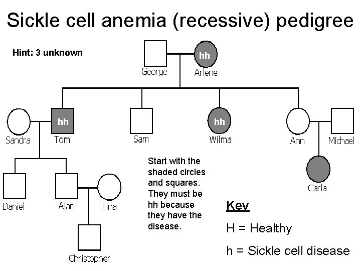 Sickle cell anemia (recessive) pedigree Hint: 3 unknown hh hh hh Start with the