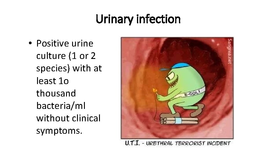 Urinary infection • Positive urine culture (1 or 2 species) with at least 1