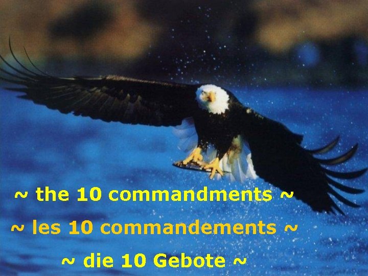 ~ the 10 commandments ~ ~ les 10 commandements ~ ~ die 10 Gebote