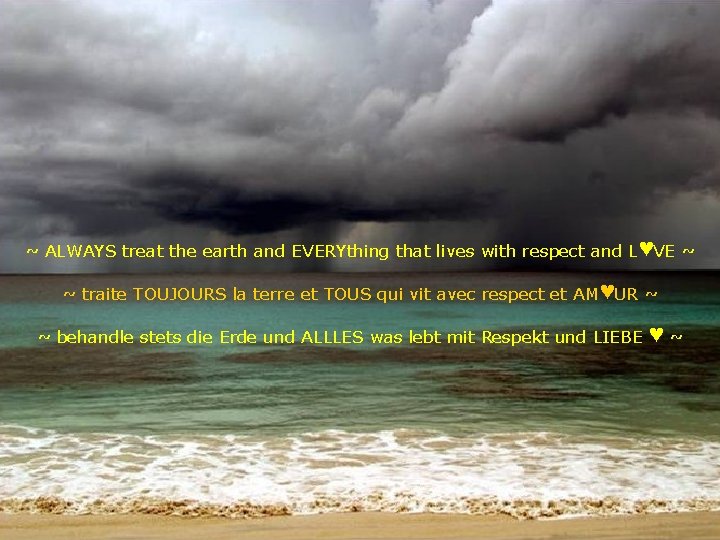 ~ ALWAYS treat the earth and EVERYthing that lives with respect and L ♥VE