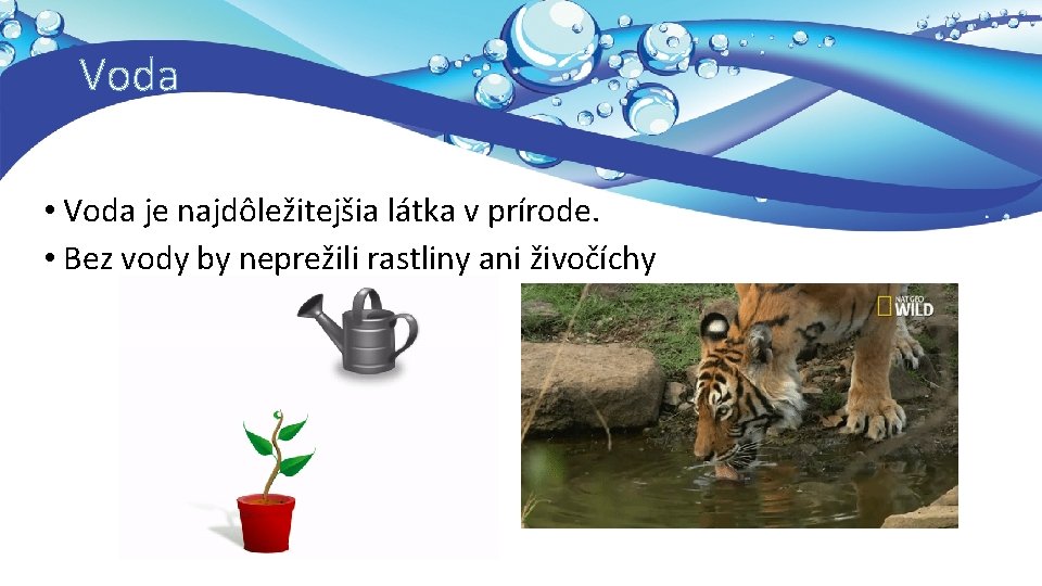 Voda • Voda je najdôležitejšia látka v prírode. • Bez vody by neprežili rastliny