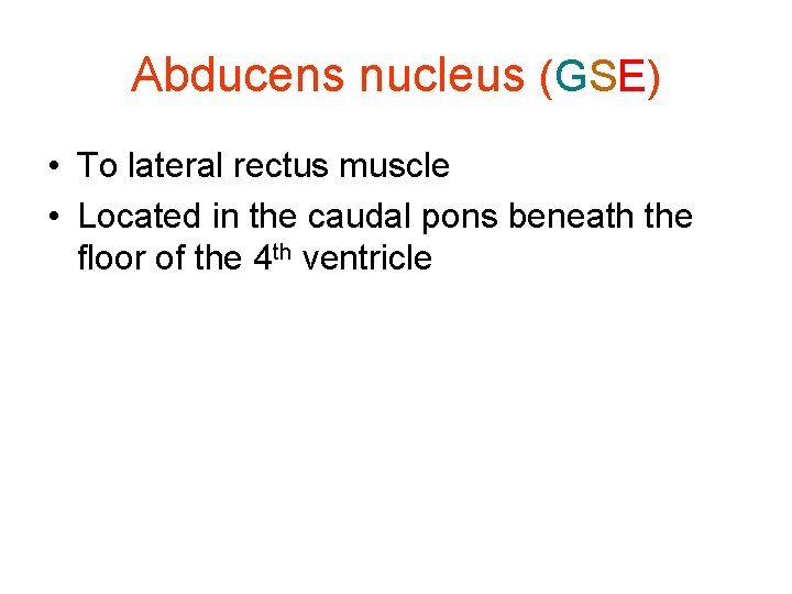 Abducens nucleus (GSE) • To lateral rectus muscle • Located in the caudal pons