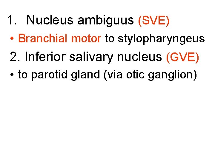 1. Nucleus ambiguus (SVE) • Branchial motor to stylopharyngeus 2. Inferior salivary nucleus (GVE)