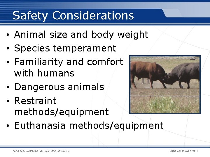 Safety Considerations • Animal size and body weight • Species temperament • Familiarity and