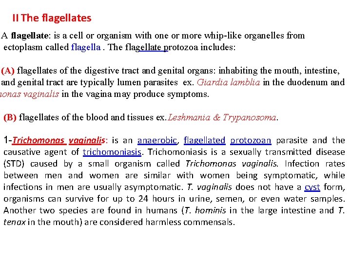 II The flagellates A flagellate: is a cell or organism with one or more