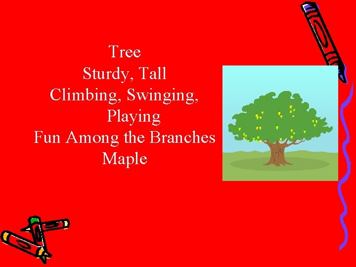 Tree Sturdy, Tall Climbing, Swinging, Playing Fun Among the Branches Maple 