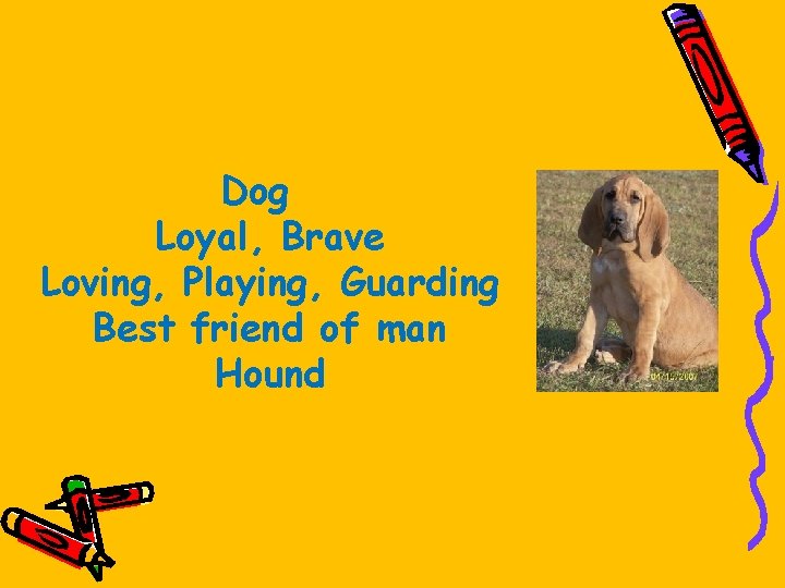 Dog Loyal, Brave Loving, Playing, Guarding Best friend of man Hound 