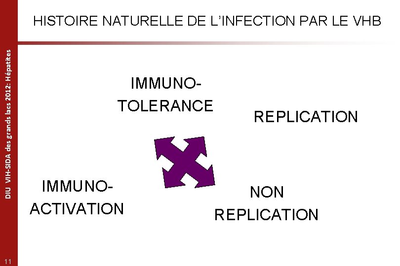 DIU VIH-SIDA des grands lacs 2012: Hépatites HISTOIRE NATURELLE DE L’INFECTION PAR LE VHB