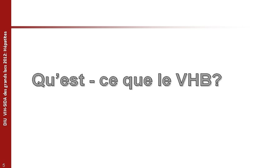 5 DIU VIH-SIDA des grands lacs 2012: Hépatites Qu’est - ce que le VHB?