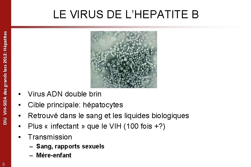 DIU VIH-SIDA des grands lacs 2012: Hépatites LE VIRUS DE L’HEPATITE B • •