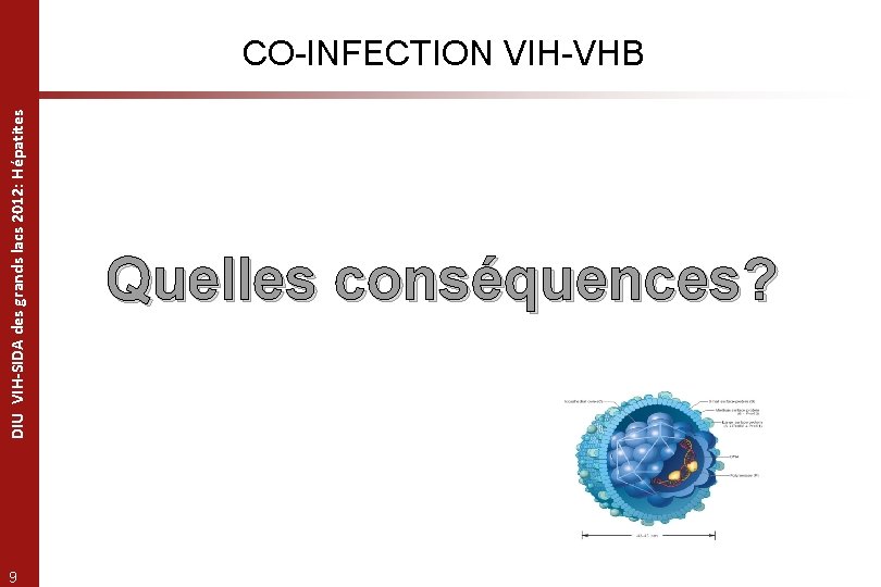 DIU VIH-SIDA des grands lacs 2012: Hépatites CO-INFECTION VIH-VHB 9 Quelles conséquences? 