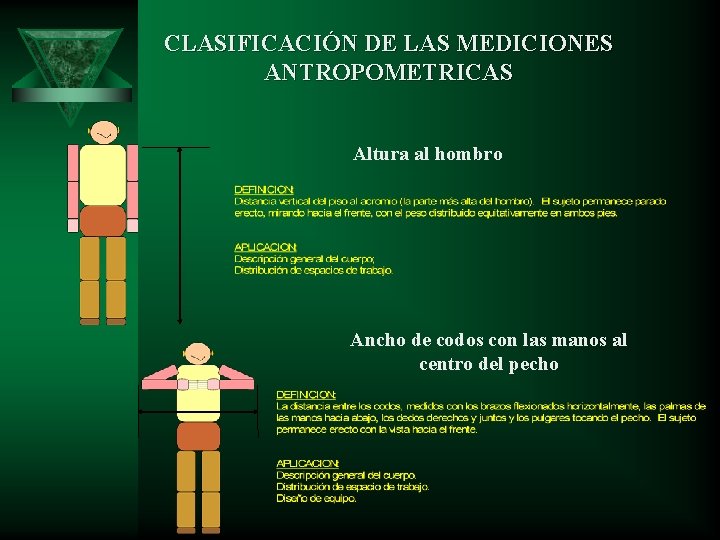 CLASIFICACIÓN DE LAS MEDICIONES ANTROPOMETRICAS Altura al hombro Ancho de codos con las manos