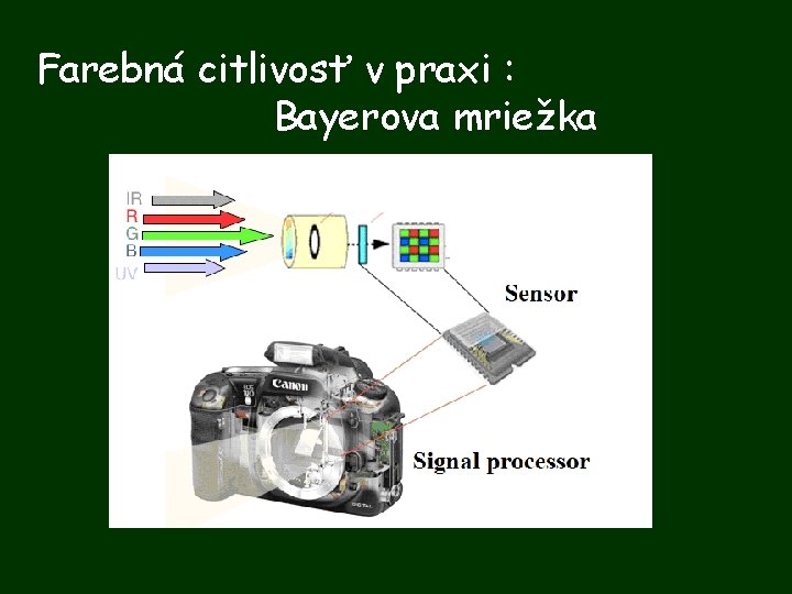 Farebná citlivosť v praxi : Bayerova mriežka 