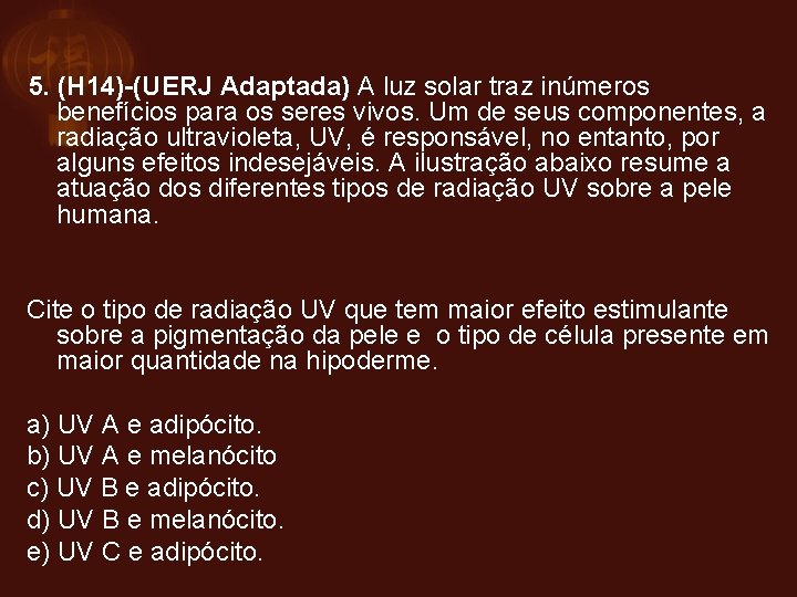 5. (H 14)-(UERJ Adaptada) A luz solar traz inúmeros benefícios para os seres vivos.